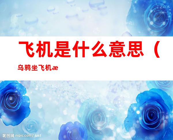 飞机是什么意思(乌鸦坐飞机是什么意思)