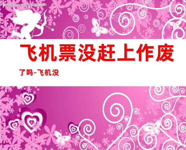 飞机票没赶上作废了吗-飞机没赶上可以退票吗