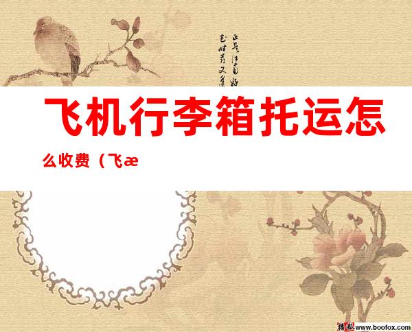 飞机行李箱托运怎么收费（飞机行李箱托运怎么收费多少钱）