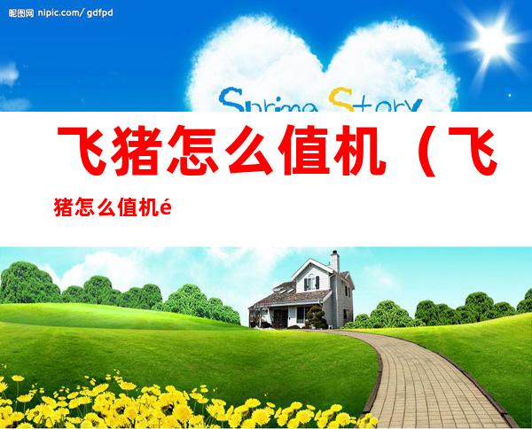 飞猪怎么值机（飞猪怎么值机选不了位置）