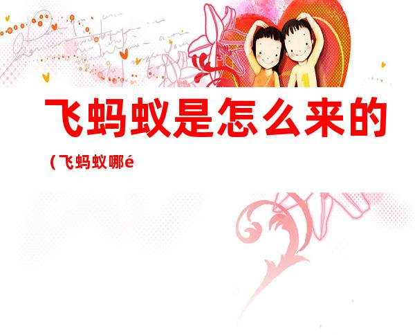 飞蚂蚁是怎么来的(飞蚂蚁哪里来的)