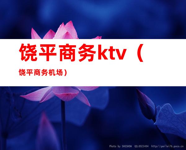 饶平商务ktv（饶平商务机场）