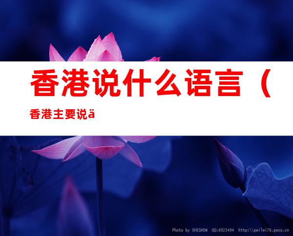 香港说什么语言（香港主要说什么语言）