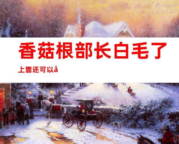 香菇根部长白毛了上面还可以吃吗(香菇根部有白毛还能吃吗)