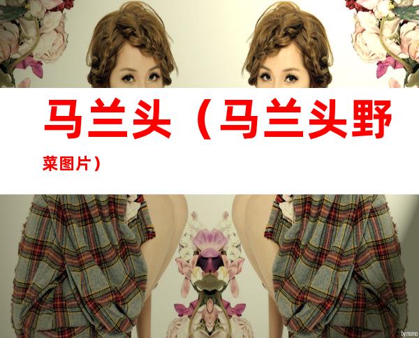 马兰头（马兰头野菜图片）