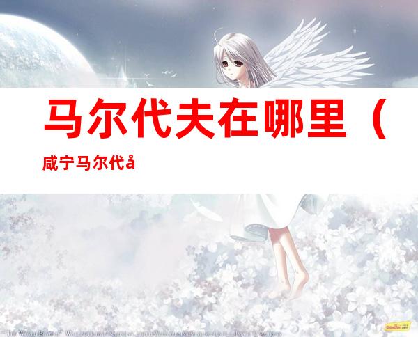 马尔代夫在哪里(咸宁马尔代夫在哪里)