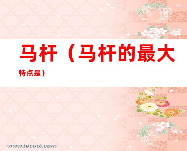 马杆(马杆的最大特点是)
