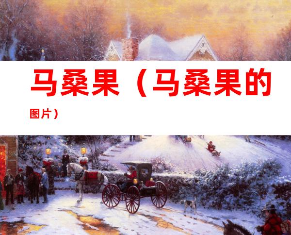 马桑果(马桑果的图片)
