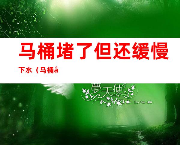 马桶堵了但还缓慢下水（马桶堵了但还缓慢下水有漩涡）