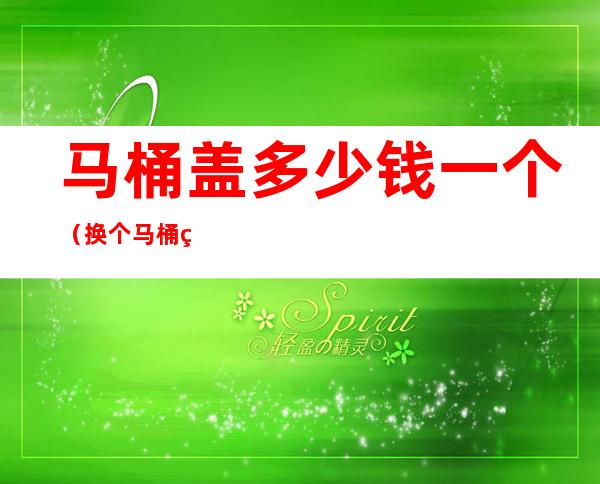马桶盖多少钱一个(换个马桶盖多少钱一个)