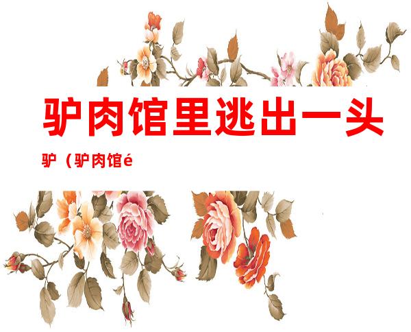 驴肉馆里逃出一头驴(驴肉馆里逃出一头驴石)