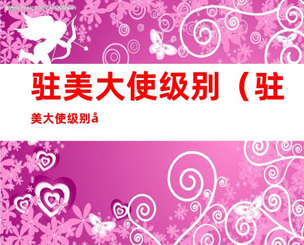 驻美大使级别(驻美大使级别官网)