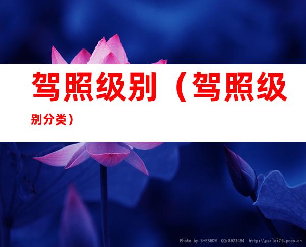 驾照级别(驾照级别分类)