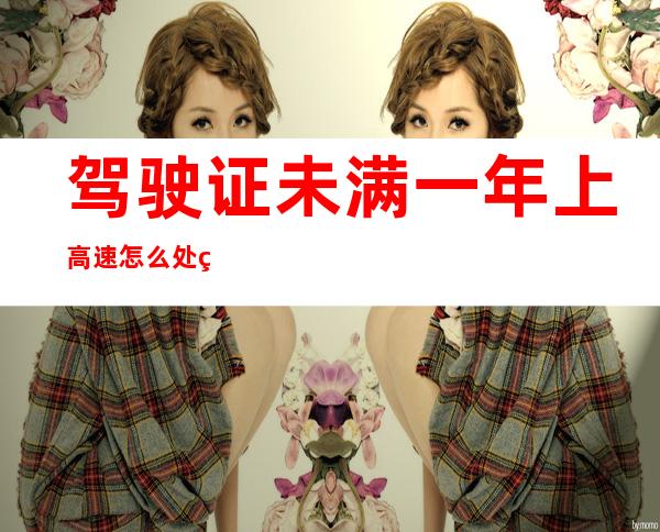 驾驶证未满一年上高速怎么处罚(驾驶证未满一年上高速怎么处罚扣分吗)