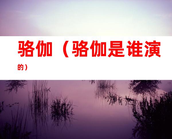 骆伽(骆伽是谁演的)