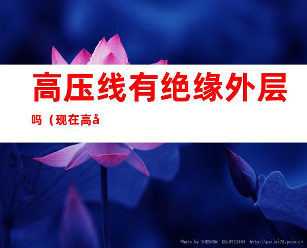 高压线有绝缘外层吗（现在高压线有绝缘层吗）