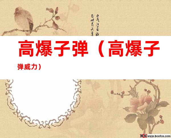高爆子弹(高爆子弹威力)