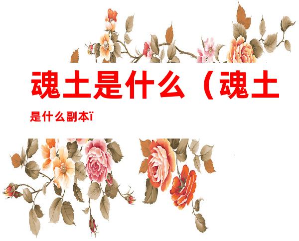 魂土是什么（魂土是什么副本）