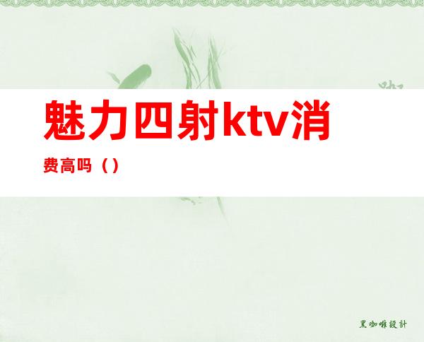 魅力四射ktv消费高吗()