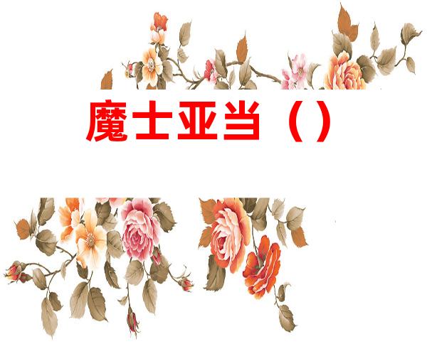 魔士亚当()