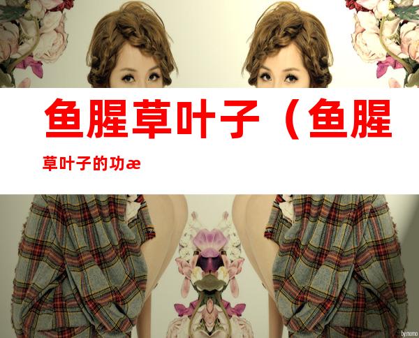 鱼腥草叶子(鱼腥草叶子的功效与作用及食用方法)