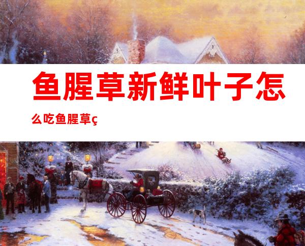 鱼腥草新鲜叶子怎么吃鱼腥草的吃法(鱼腥草叶子怎么吃?)