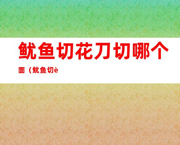 鱿鱼切花刀切哪个面（鱿鱼切花刀切哪个面好看）