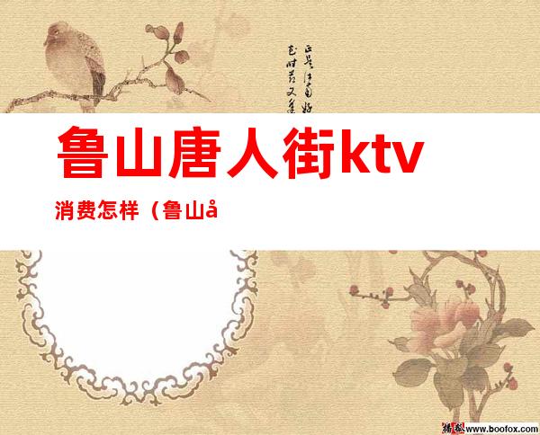 鲁山唐人街ktv消费怎样(鲁山唐人街ktv消费怎样)