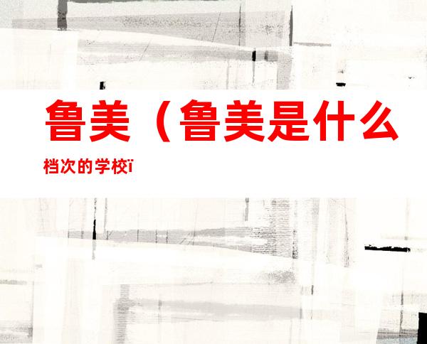 鲁美(鲁美是什么档次的学校)