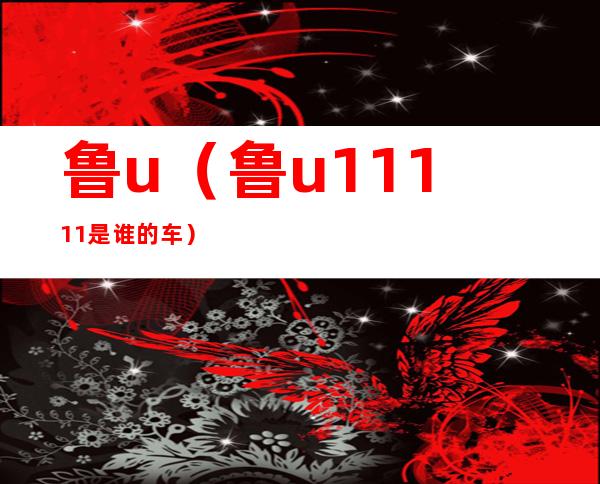 鲁u(鲁u11111是谁的车)