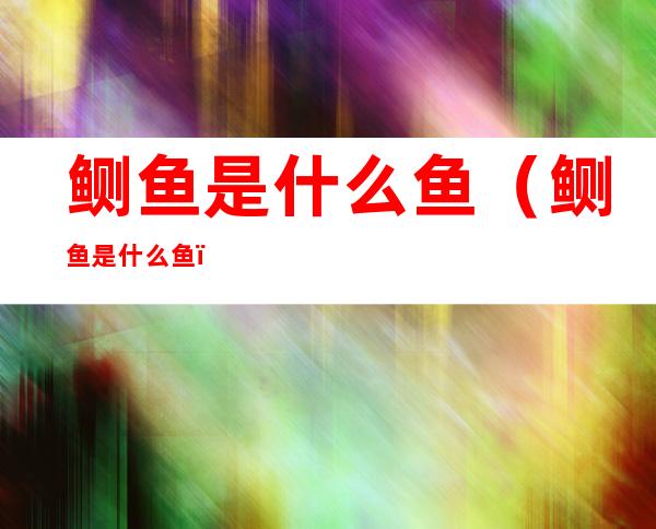 鲗鱼是什么鱼(鲗鱼是什么鱼?)