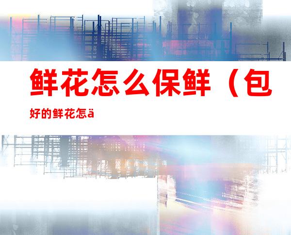 鲜花怎么保鲜(包好的鲜花怎么保鲜)