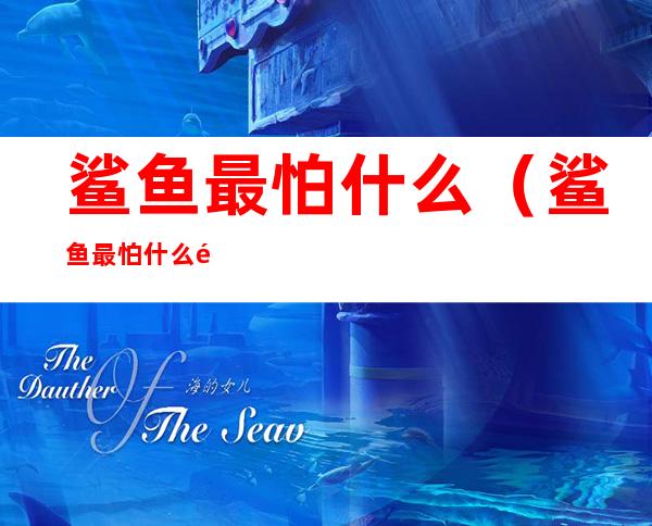鲨鱼最怕什么(鲨鱼最怕什么颜色)