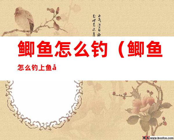 鲫鱼怎么钓(鲫鱼怎么钓上鱼快)