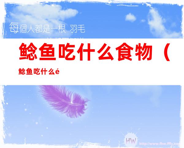 鲶鱼吃什么食物(鲶鱼吃什么食物长大)