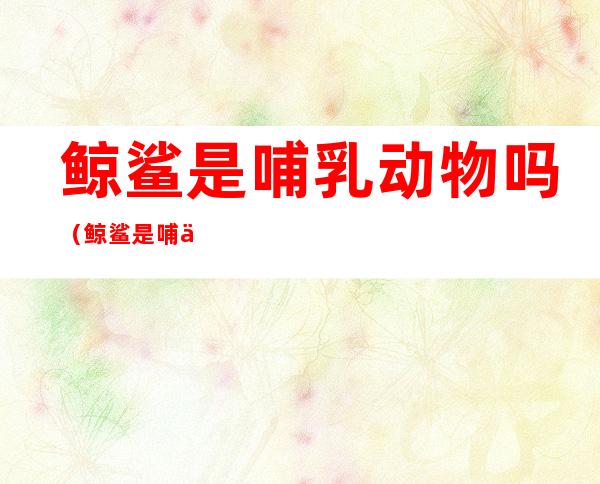 鲸鲨是哺乳动物吗(鲸鲨是哺乳动物吗图片)