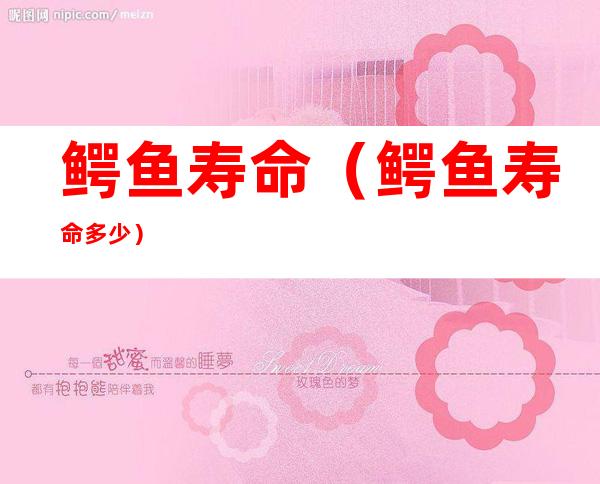 鳄鱼寿命（鳄鱼寿命多少）