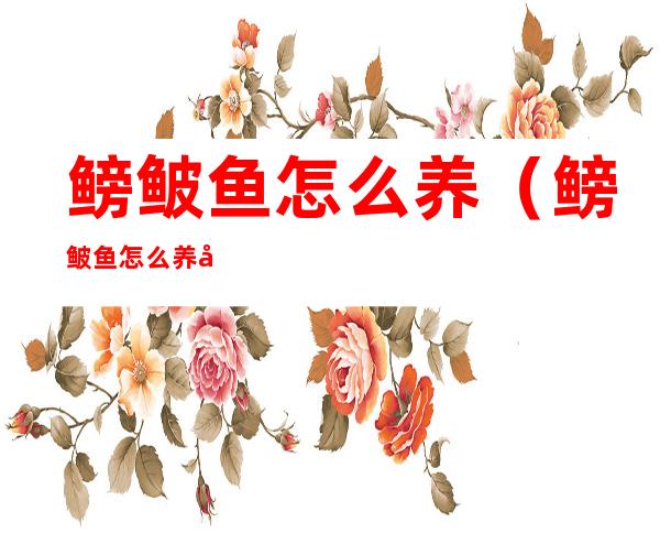 鳑鲏鱼怎么养(鳑鲏鱼怎么养寻找供苗)