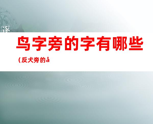 鸟字旁的字有哪些(反犬旁的字有哪些)