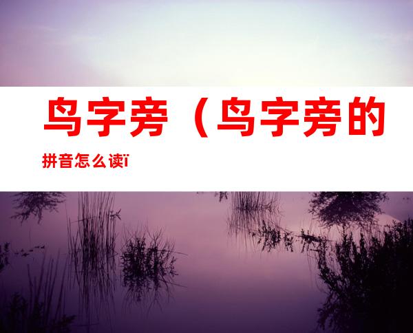 鸟字旁(鸟字旁的拼音怎么读)
