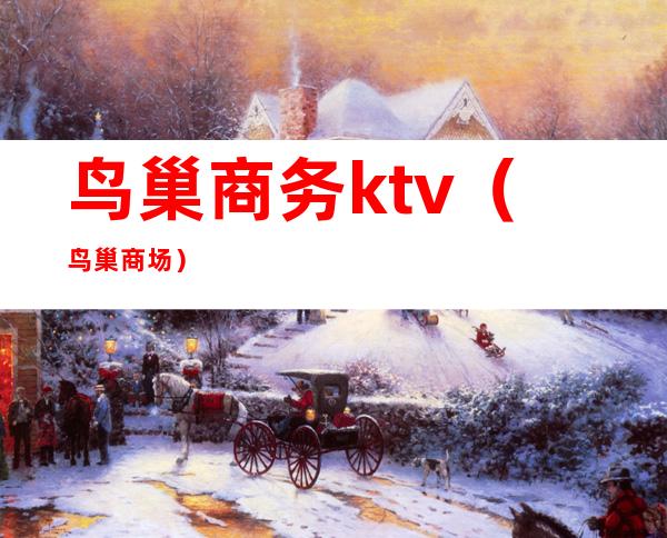 鸟巢商务ktv(鸟巢 商场)