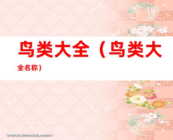鸟类大全(鸟类大全名称)