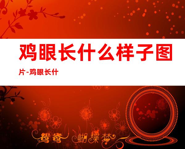 鸡眼长什么样子图片-鸡眼长什么样子
