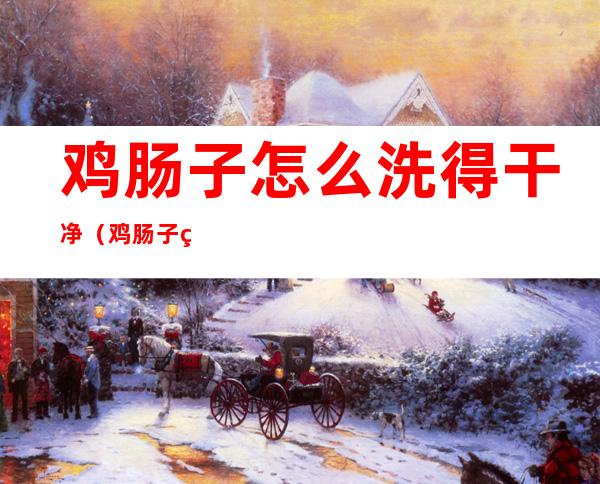 鸡肠子怎么洗得干净（鸡肠子用什么洗）