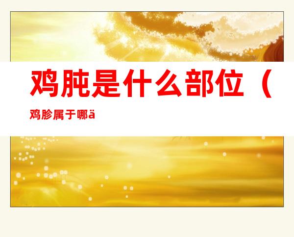 鸡肫是什么部位(鸡胗属于哪个部位)