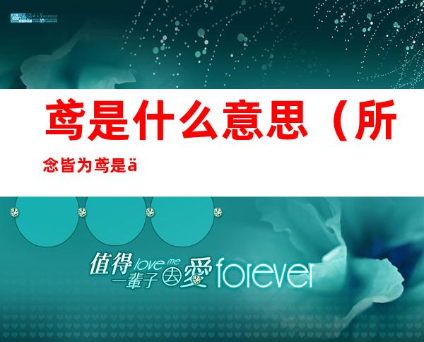 鸢是什么意思（所念皆为鸢是什么意思）