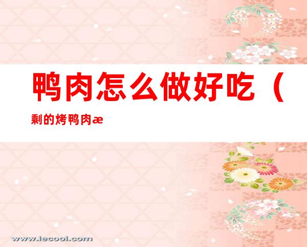 鸭肉怎么做好吃(剩的烤鸭肉怎么做好吃)