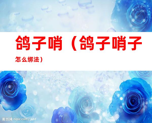 鸽子哨(鸽子哨子怎么绑法)