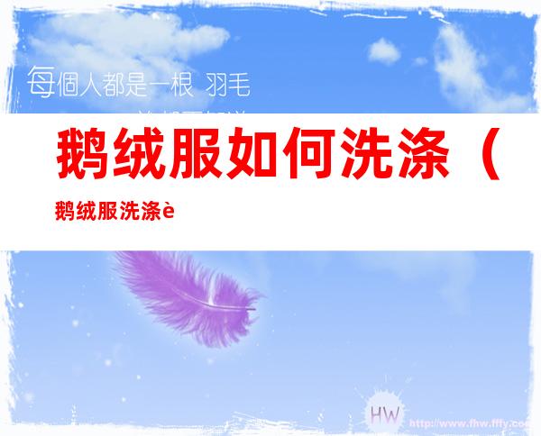 鹅绒服如何洗涤(鹅绒服洗涤说明)