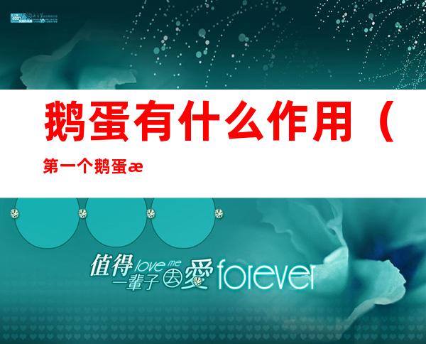 鹅蛋有什么作用(第一个鹅蛋有什么作用)